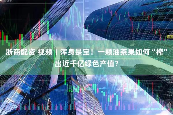 浙商配资 视频丨浑身是宝！一颗油茶果如何“榨”出近千亿绿色产值？