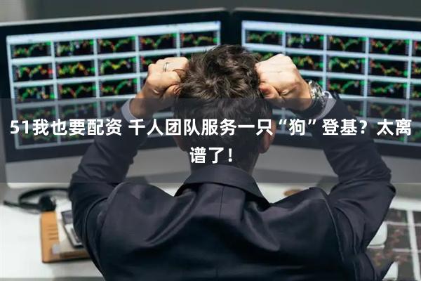 51我也要配资 千人团队服务一只“狗”登基？太离谱了！