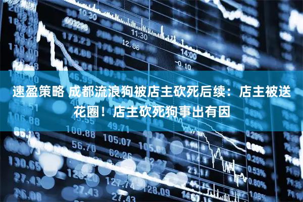 速盈策略 成都流浪狗被店主砍死后续：店主被送花圈！店主砍死狗事出有因