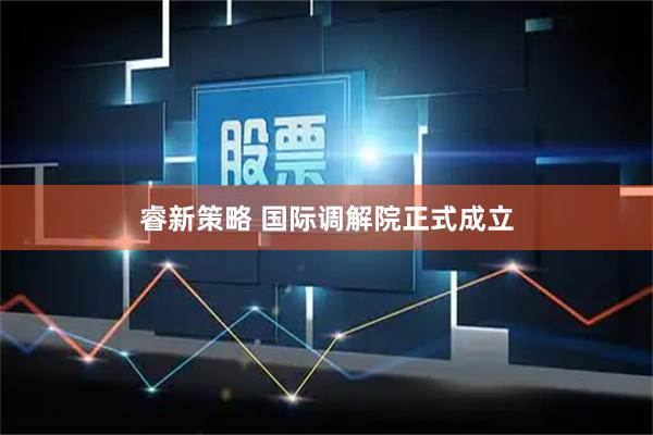 睿新策略 国际调解院正式成立
