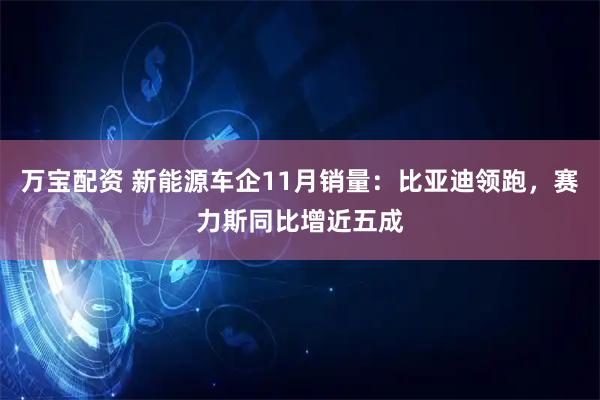 万宝配资 新能源车企11月销量：比亚迪领跑，赛力斯同比增近五成