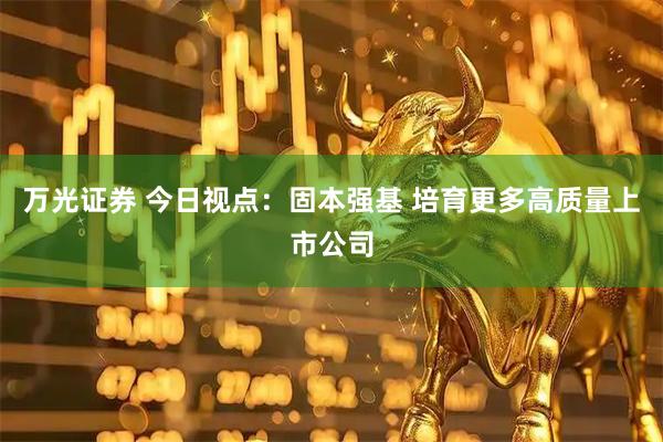 万光证券 今日视点：固本强基 培育更多高质量上市公司