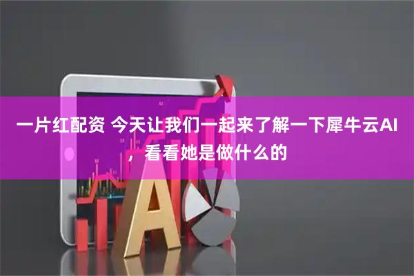 一片红配资 今天让我们一起来了解一下犀牛云AI，看看她是做什么的