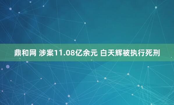 鼎和网 涉案11.08亿余元 白天辉被执行死刑