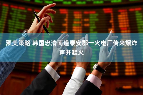 聚美策略 韩国忠清南道泰安郡一火电厂传来爆炸声并起火