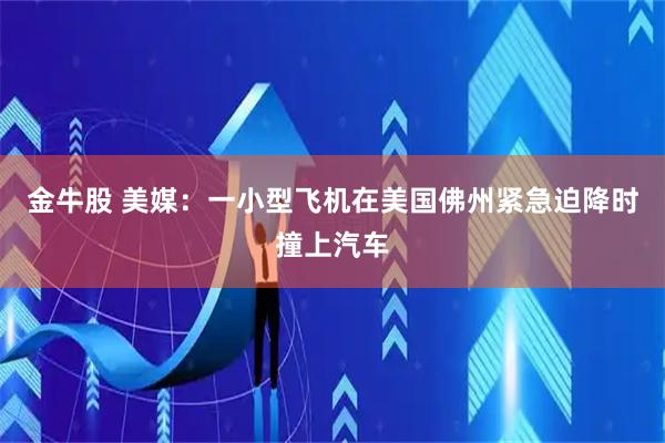 金牛股 美媒：一小型飞机在美国佛州紧急迫降时撞上汽车