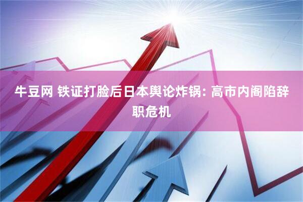 牛豆网 铁证打脸后日本舆论炸锅: 高市内阁陷辞职危机