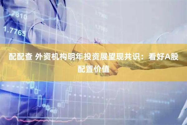 配配查 外资机构明年投资展望现共识：看好A股配置价值