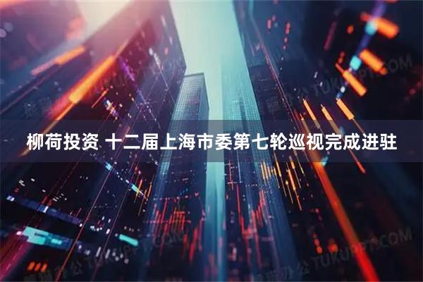 柳荷投资 十二届上海市委第七轮巡视完成进驻