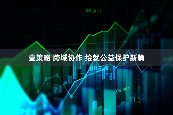 壹策略 跨域协作 绘就公益保护新篇