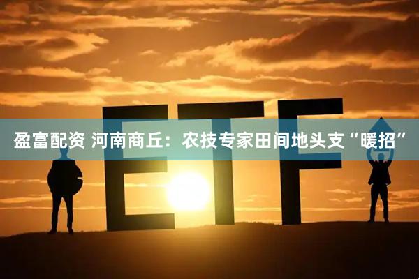 盈富配资 河南商丘：农技专家田间地头支“暖招”